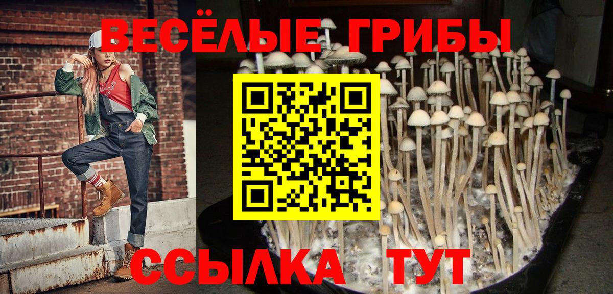 Псилоцибиновые грибы GOLDEN TEACHER Богородск